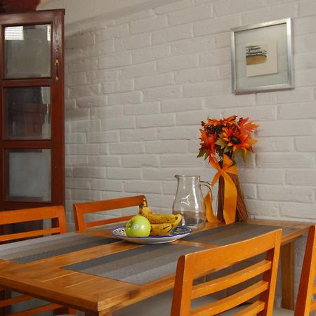Coyoacan, 2 Level Cozy Apartment 3Bedrooms, 3Bathrooms, Terrace Mexico City Ngoại thất bức ảnh